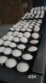 Looking for Experienced South Indian Cook