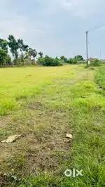 Farm land urgent sale