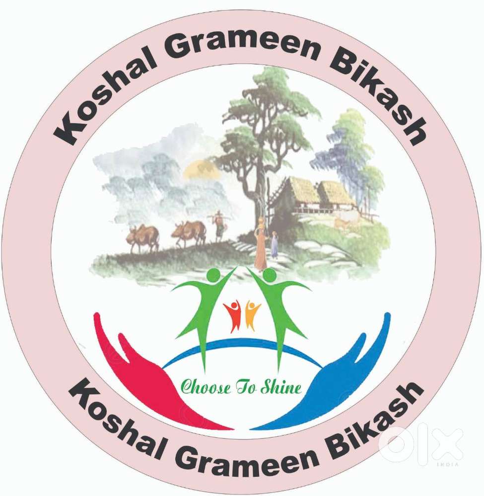 Need an Accountant For oir Organization Koshal Grameen Bikash (NGO)