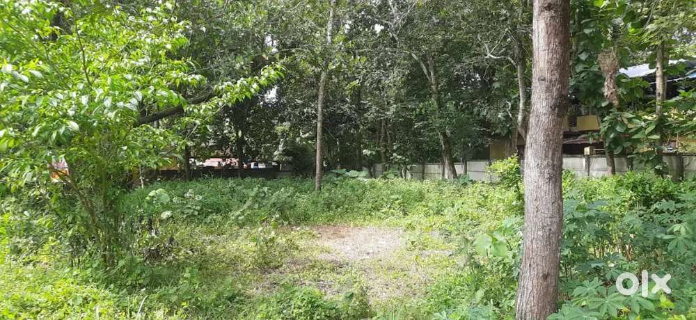 14 സെന്റ് പ്ളോട്ട് -കൊച്ചാലുംമൂട്(പരവൂർ- വാർഡ് 5) കൊല്ലം