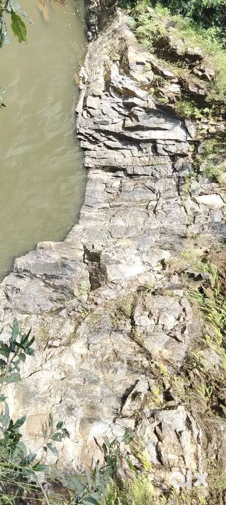 8 acre Quora with adkka coconut totam