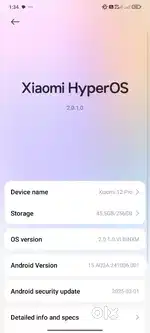 Xiaomi 12 pro 12.256