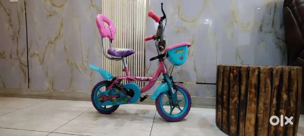 BSA Kids cycle with Training Wheels Included