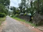 Kollam Chathannoor Uramvilla jun dis 300 meter 20 cent