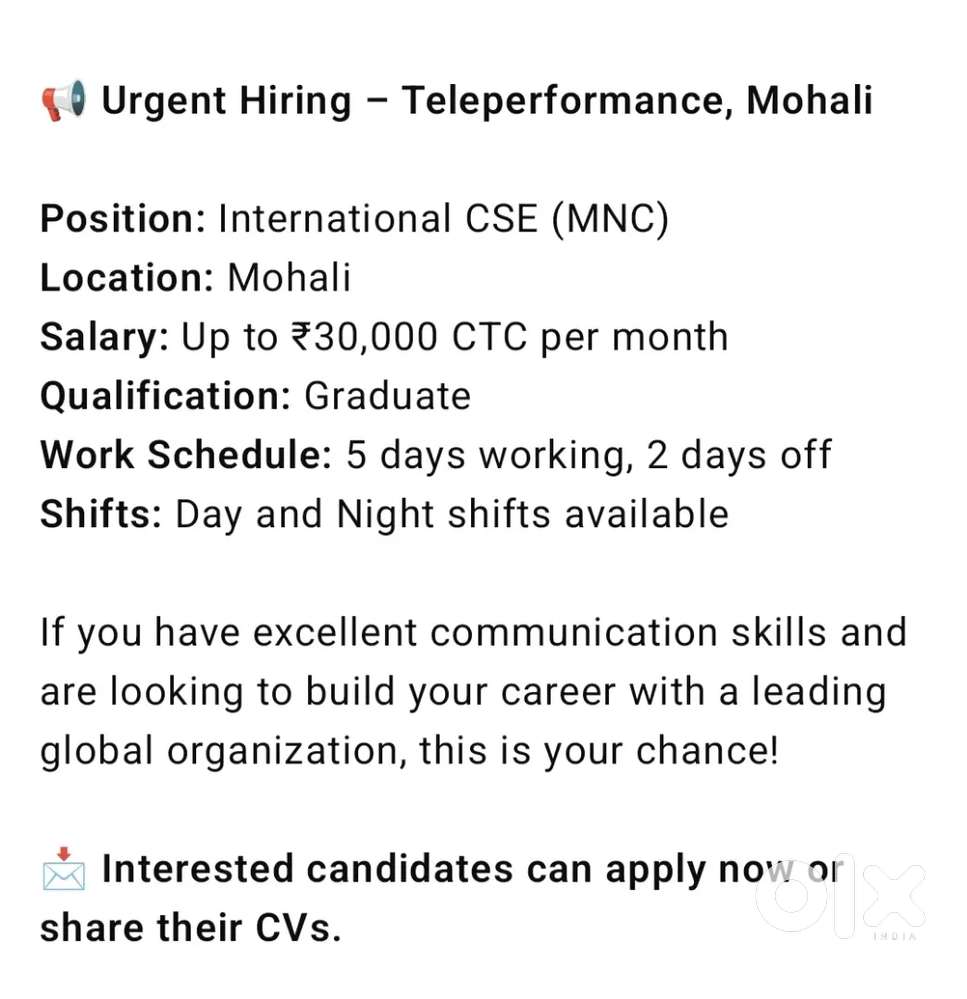 International customer support executive