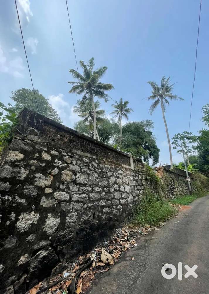 9 cent land for sale in Changanacherry perunna