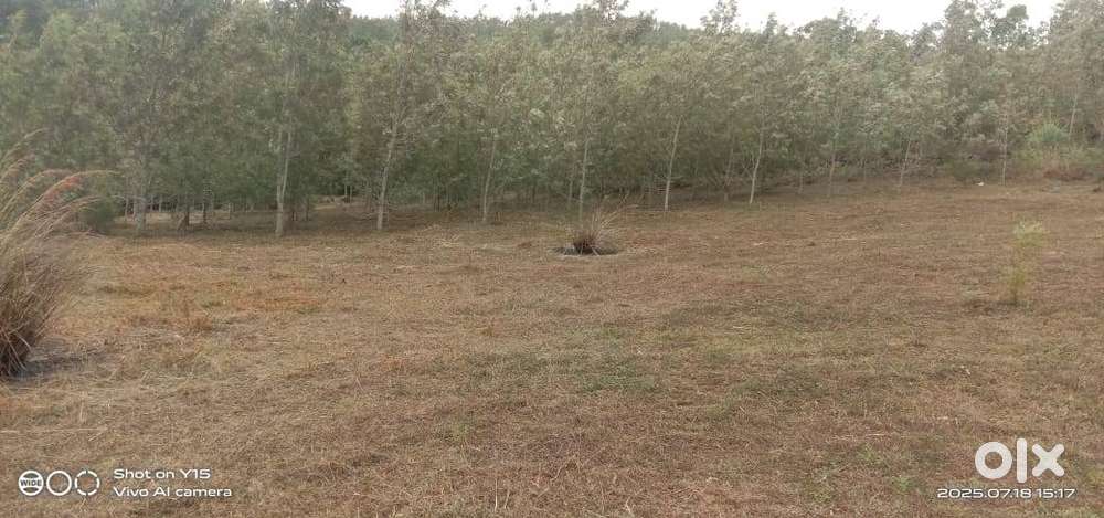 Kolli Hills : 2 Acre Patta Land