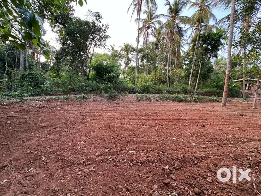 Land for Sale in Echur,Ayyappanmala