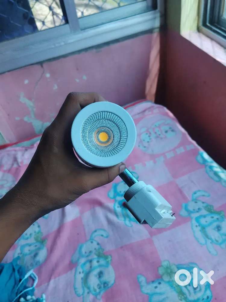 Focus light