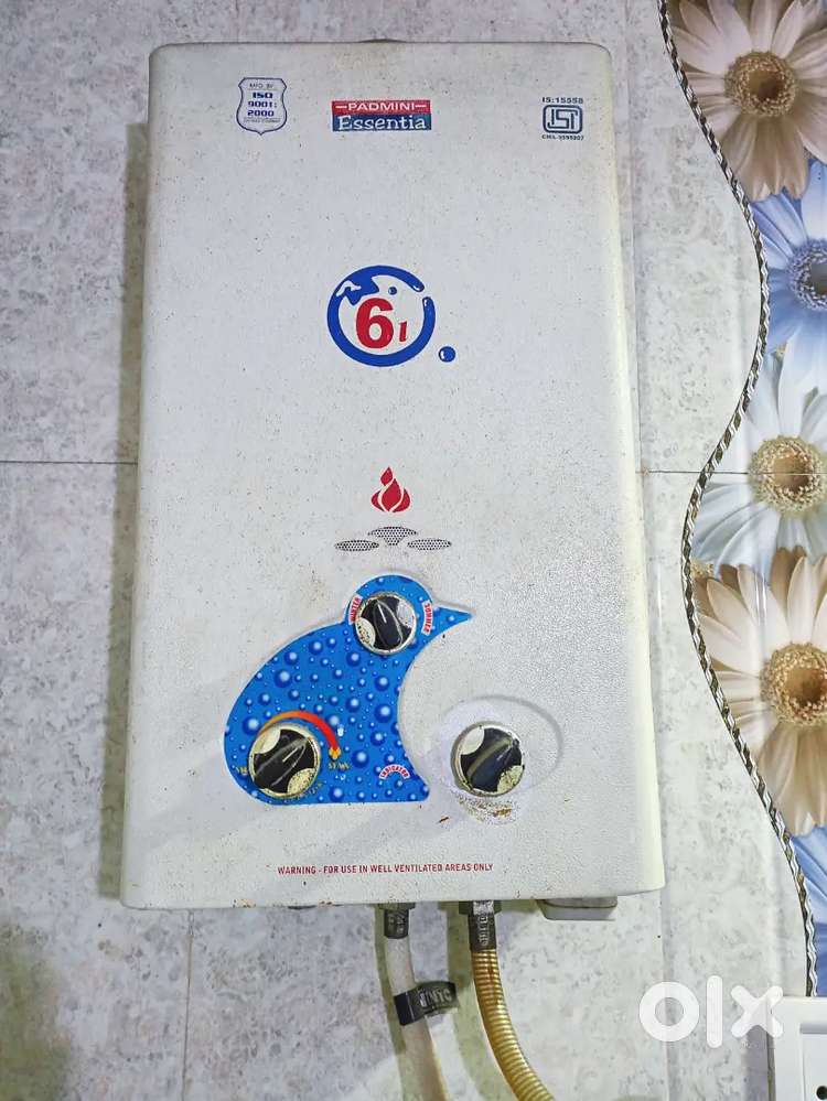 Padmini Gas Water Geyser (White)