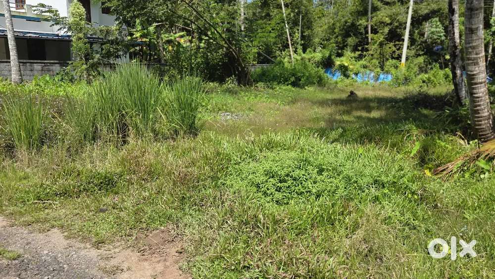 12 cent plot തുറവൂർ നാഷണൽ ഹൈവേയിൽ നിന്നും ഒരു കിലോമീറ്റർ മാറി കിഴക്ക്