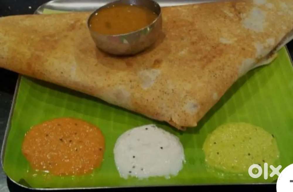 Dosa/ Parotta Master