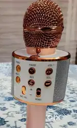 Speaker microphone