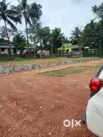 THADICKADU ANCHAL PANACHAVILA