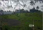 13 Acres Land for Rent