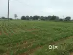 Low budget land for sale