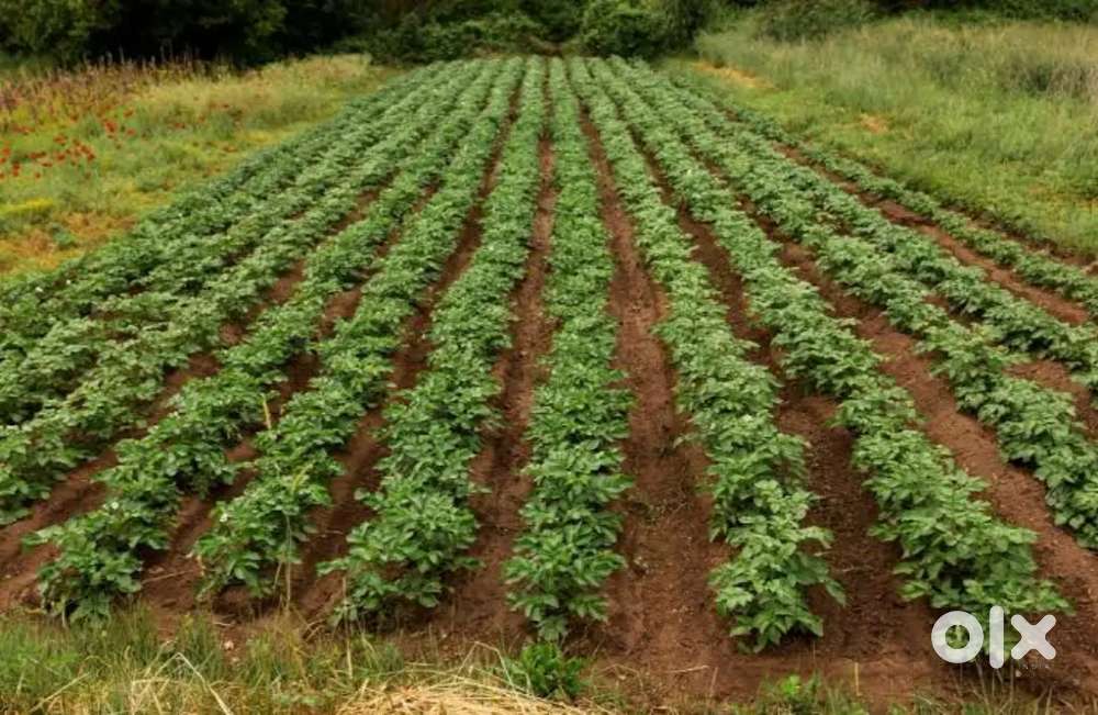 Khet bechna hai arjently