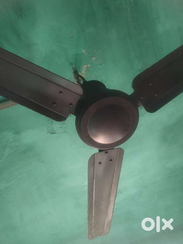 Two ceiling fan winding problem