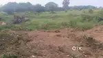 At Aruapalli village