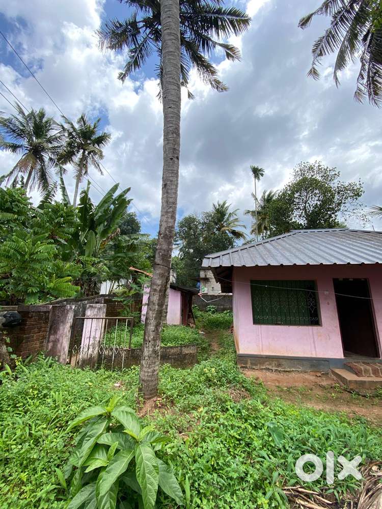 Melathuvila veedu irukunnam  manikandeshwaram near peroorkada junction