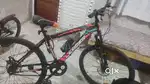Cycle for sale