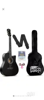 Guitar the musical instrument