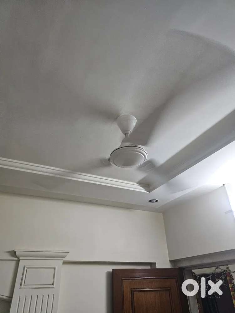 Cromption High Speed Fan