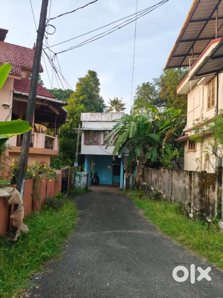 Kalamassery plot for sale