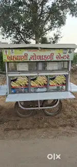 NASTA LARI FOR SALE