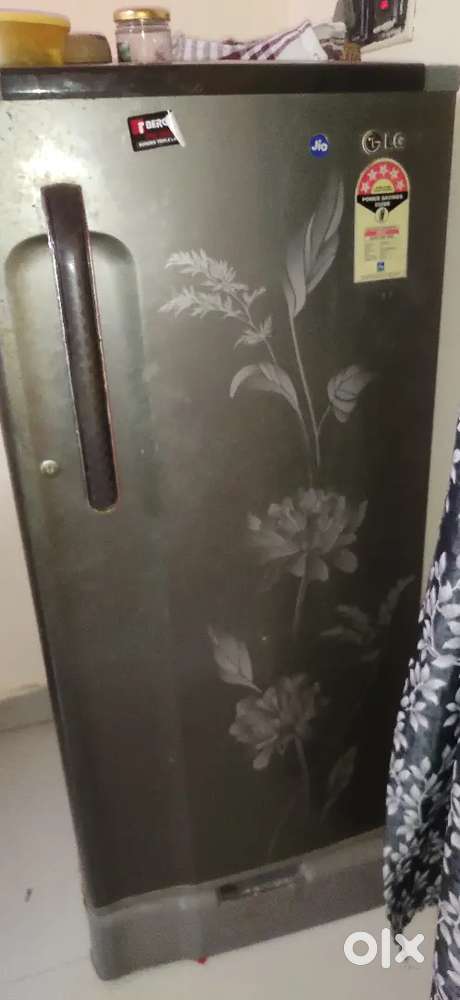 L G  fridge