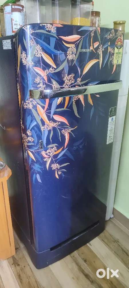 Samsung 198 L 5 Star Digital Inverter Single Door Refrigerator