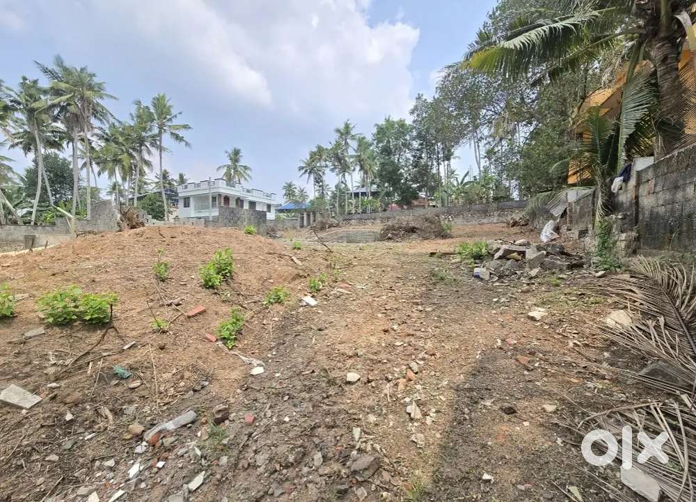 4.5.6.7.8.10CENT PLOT FOR SALE SREEKARIYAM KARIYAM