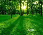 Jaldapara, Madarihat 14 Bigha Land for Sale