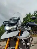 Tiger 900 rally pro white