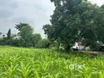 जमीन बेचना he price बैठक पर