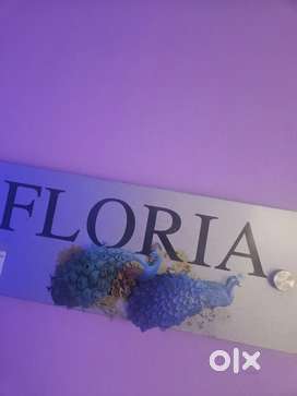 Floria Looking for  feamale Therapist