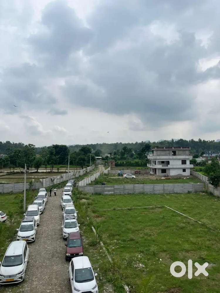 Best plots for investment