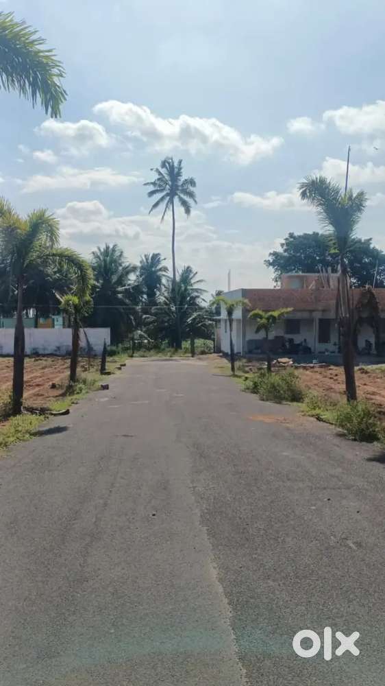 Othakalmandapam OnRoad Property & Dtcp For Sale