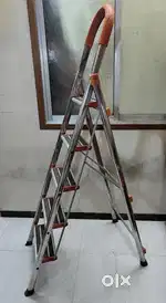 Stainless Steel Ladder