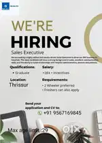 Sales Executive