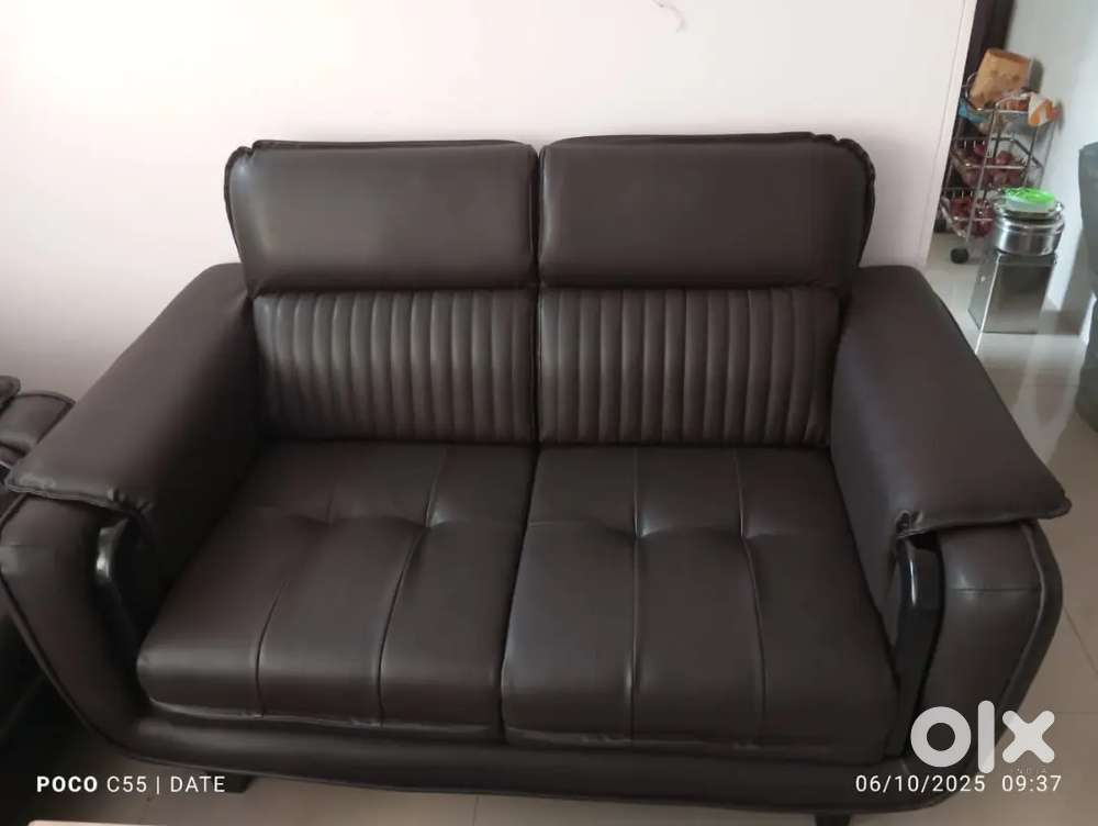 2 sitter Artificial Foam Leather sofa
