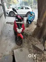 Red and black
