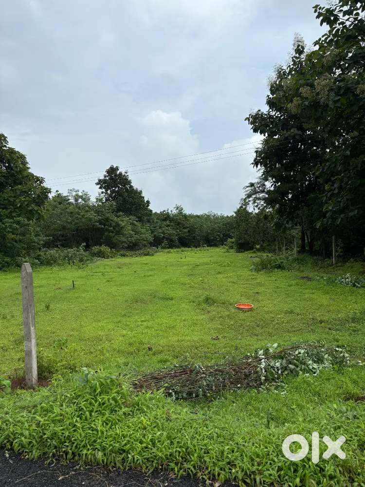 Plot for sale