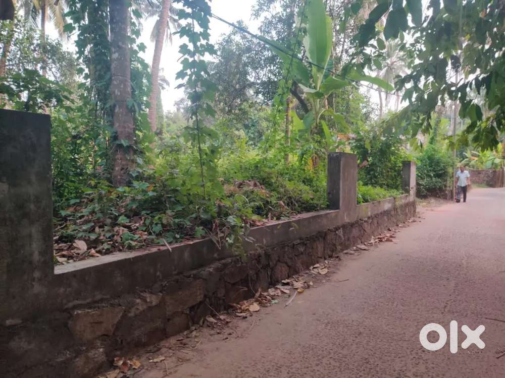 26.5 cent for sale in Quilandy