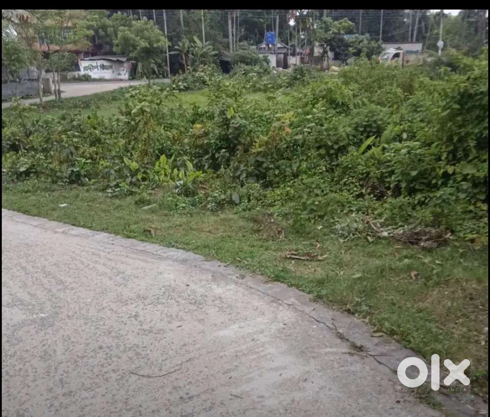 6,50 katha housing plot saling acha, হ