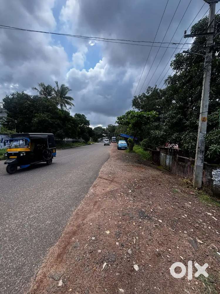 Plot for sale 12.5 cent main road Alamcode Manannakku road