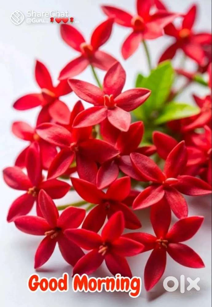 I need part time job near Nalanchira