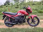 Honda livo