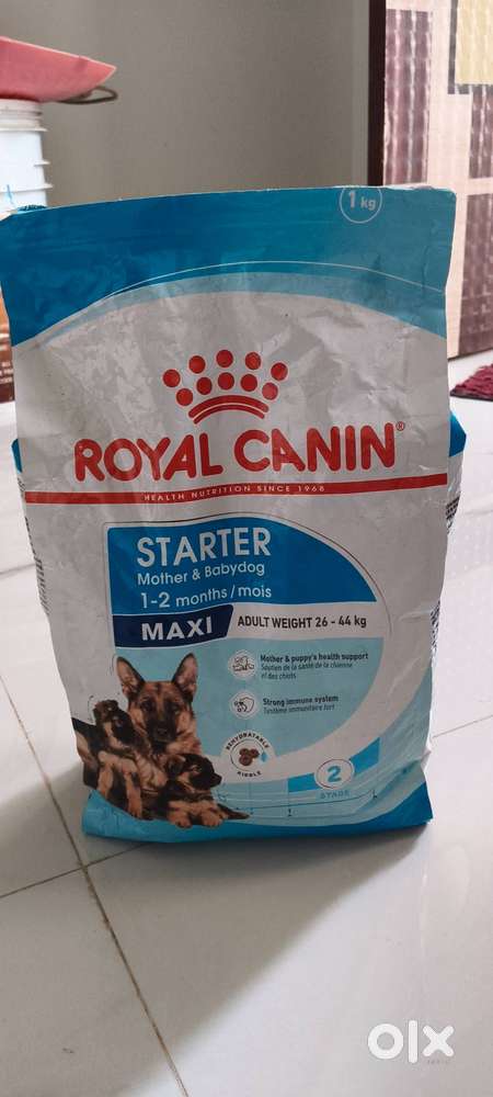 Royal Canin Food starter