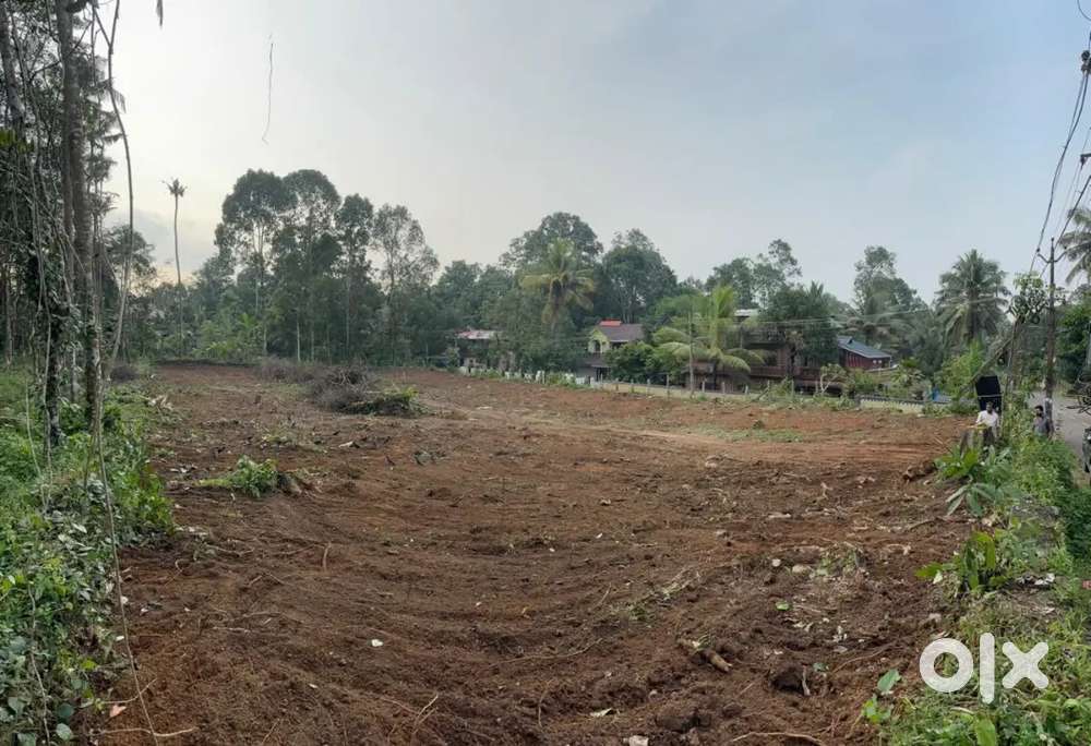 50 Cent Plot for sale